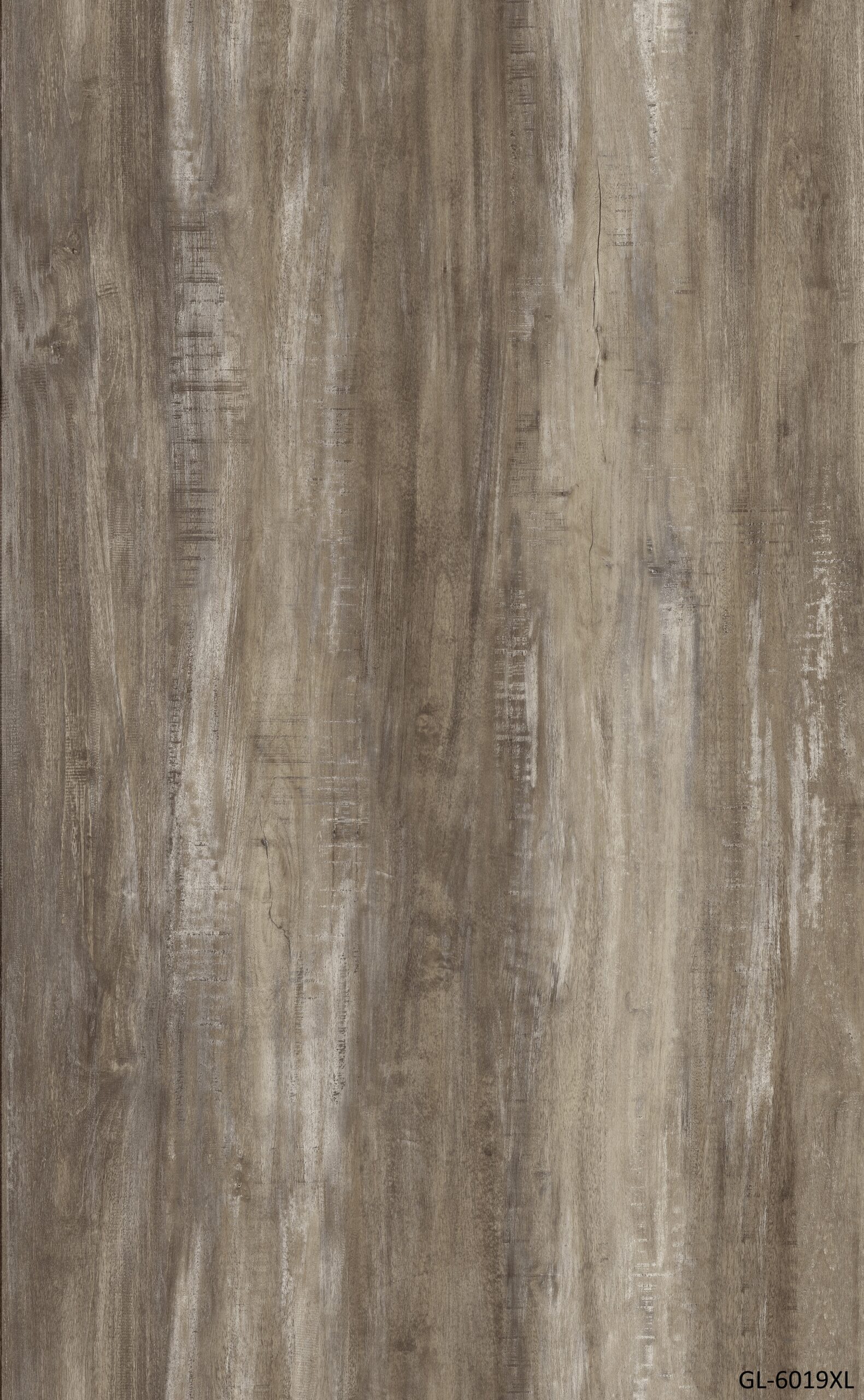 GL-6019 XL